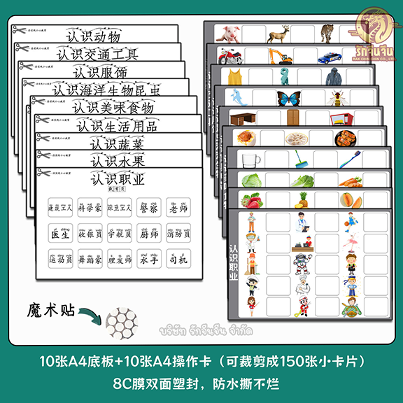 10 หมวด